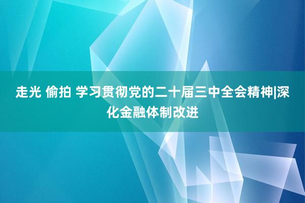 走光 偷拍 学习贯彻党的二十届三中全会精神|深化金融体制改进