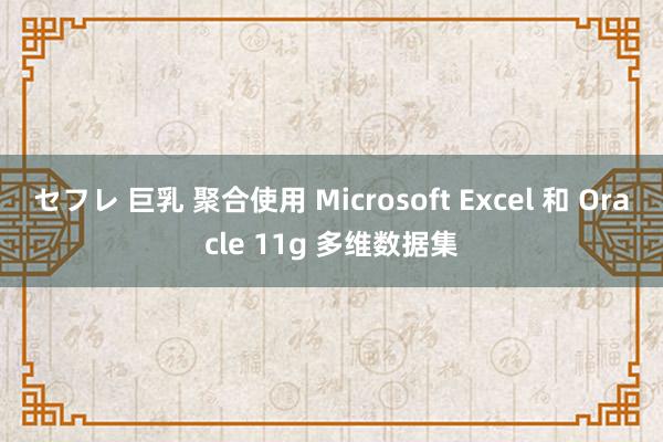 セフレ 巨乳 聚合使用 Microsoft Excel 和 Oracle 11g 多维数据集