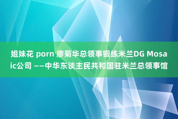 姐妹花 porn 廖菊华总领事锻练米兰DG Mosaic公司 ——　中华东谈主民共和国驻米兰总领事馆