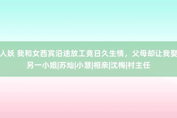 人妖 我和女西宾沿途放工竟日久生情，父母却让我娶另一小姐|苏灿|小慧|相亲|沈梅|村主任