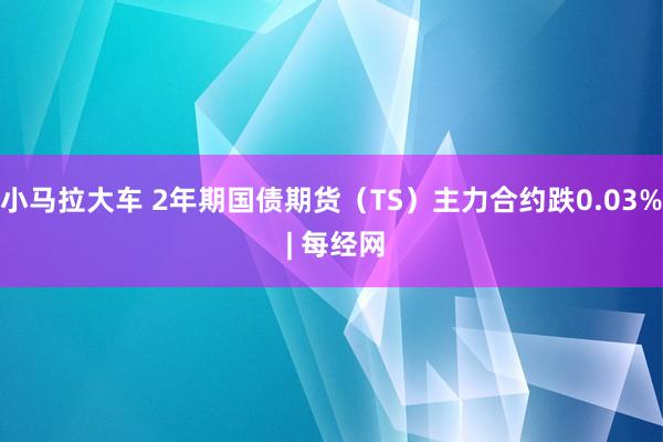 小马拉大车 2年期国债期货（TS）主力合约跌0.03% | 每经网